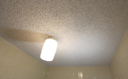 モルタルの凹凸風呂天井を水性ペンキで塗り替えDIY！